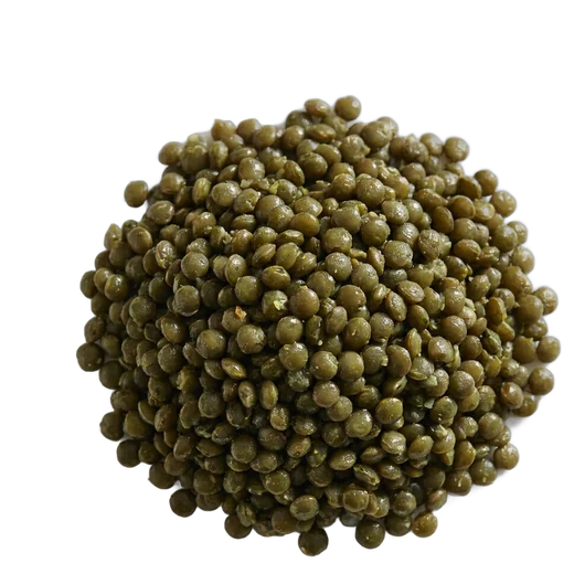 Lentilles